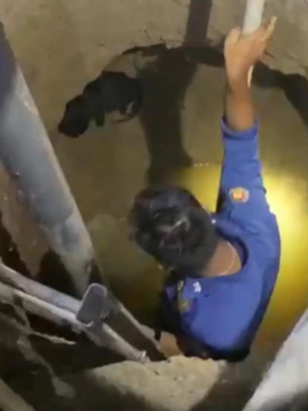 Oh nein, wie ist das denn passiert? Im indonesischen Padang fällt eine Katze in einen etwa drei Meter tiefen Brunnen und kann sich selbst nicht aus der misslichen Lage befreien.
