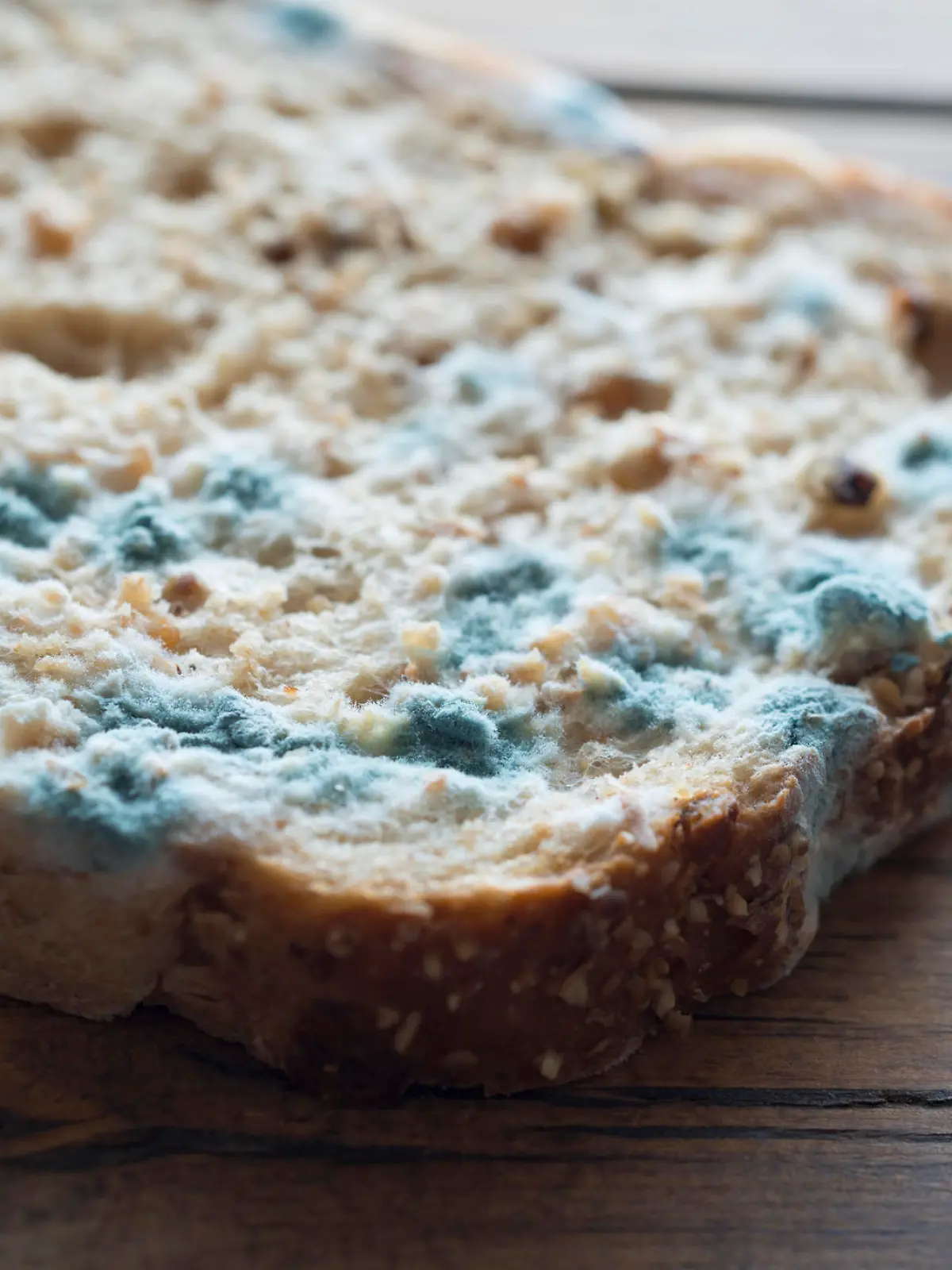 Slice of Mould covered Bread, lit with natural window light.