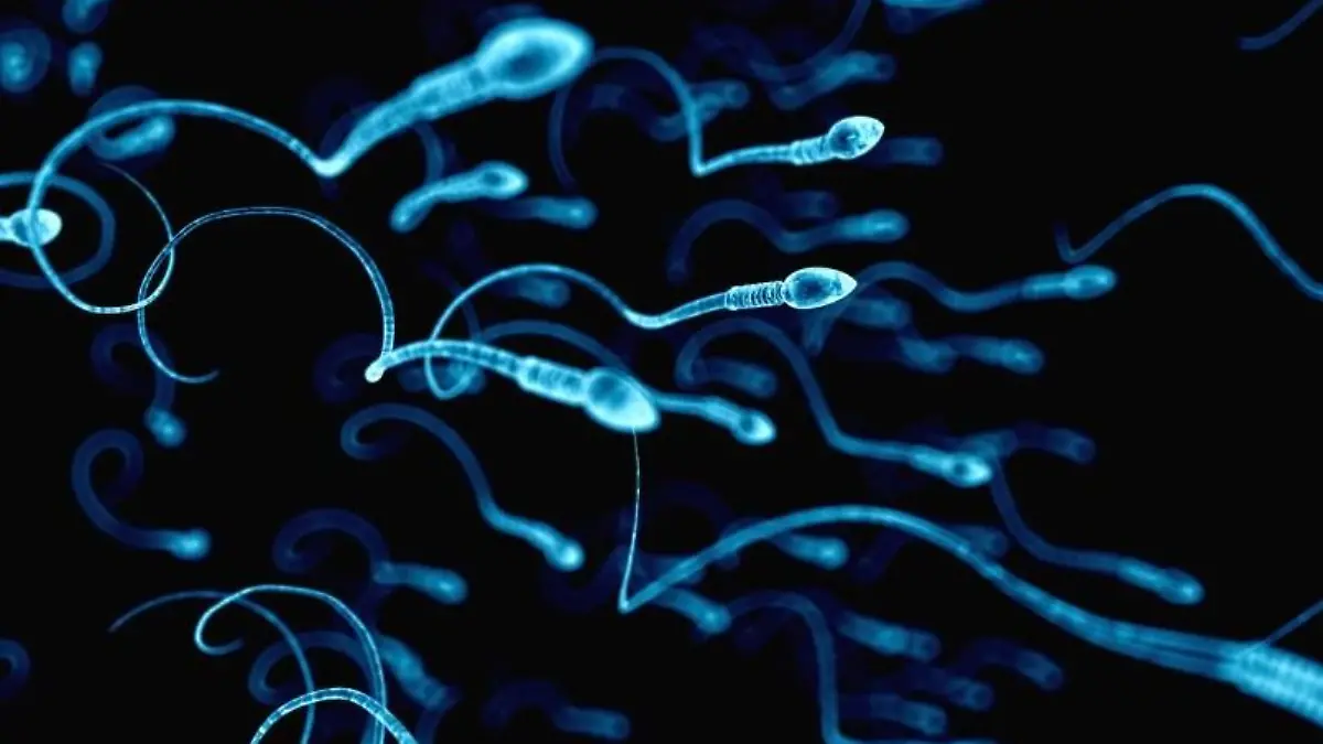 Spermien-Qualität