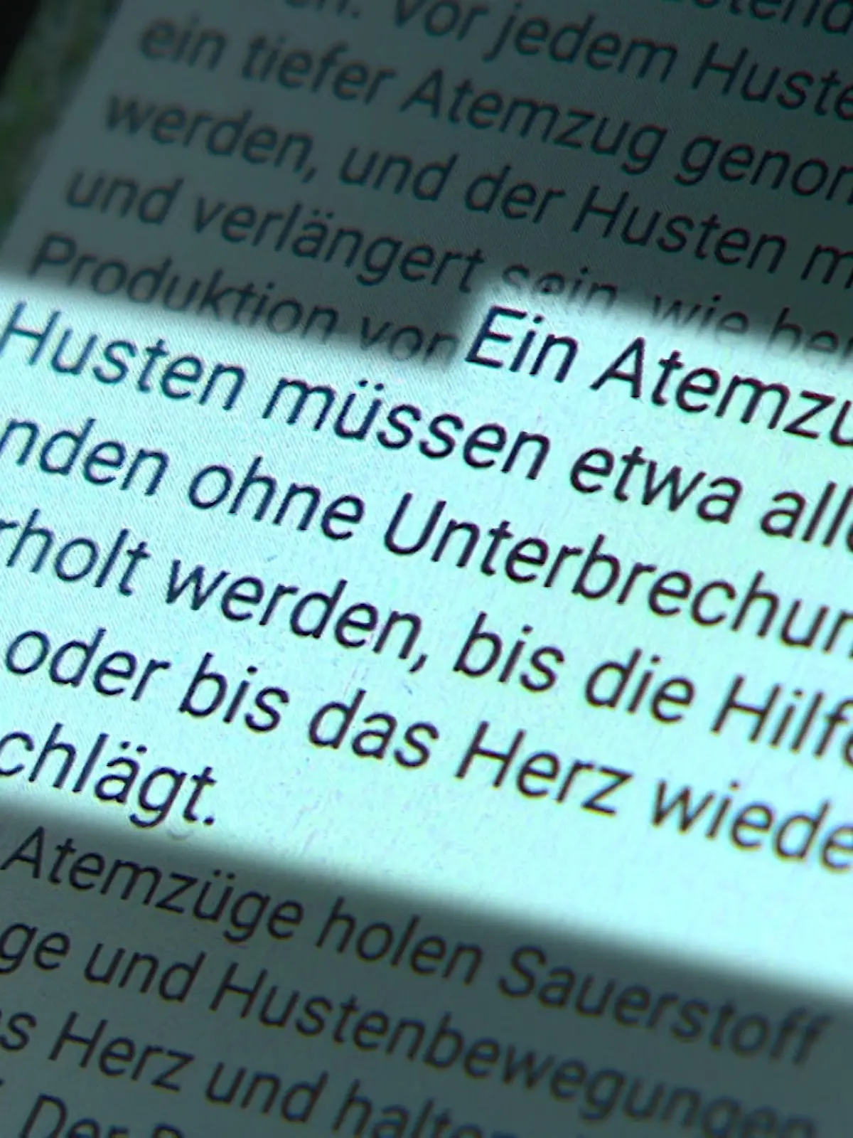 Bild zu: "WhatsApp-Kettenbrief im Umlauf"