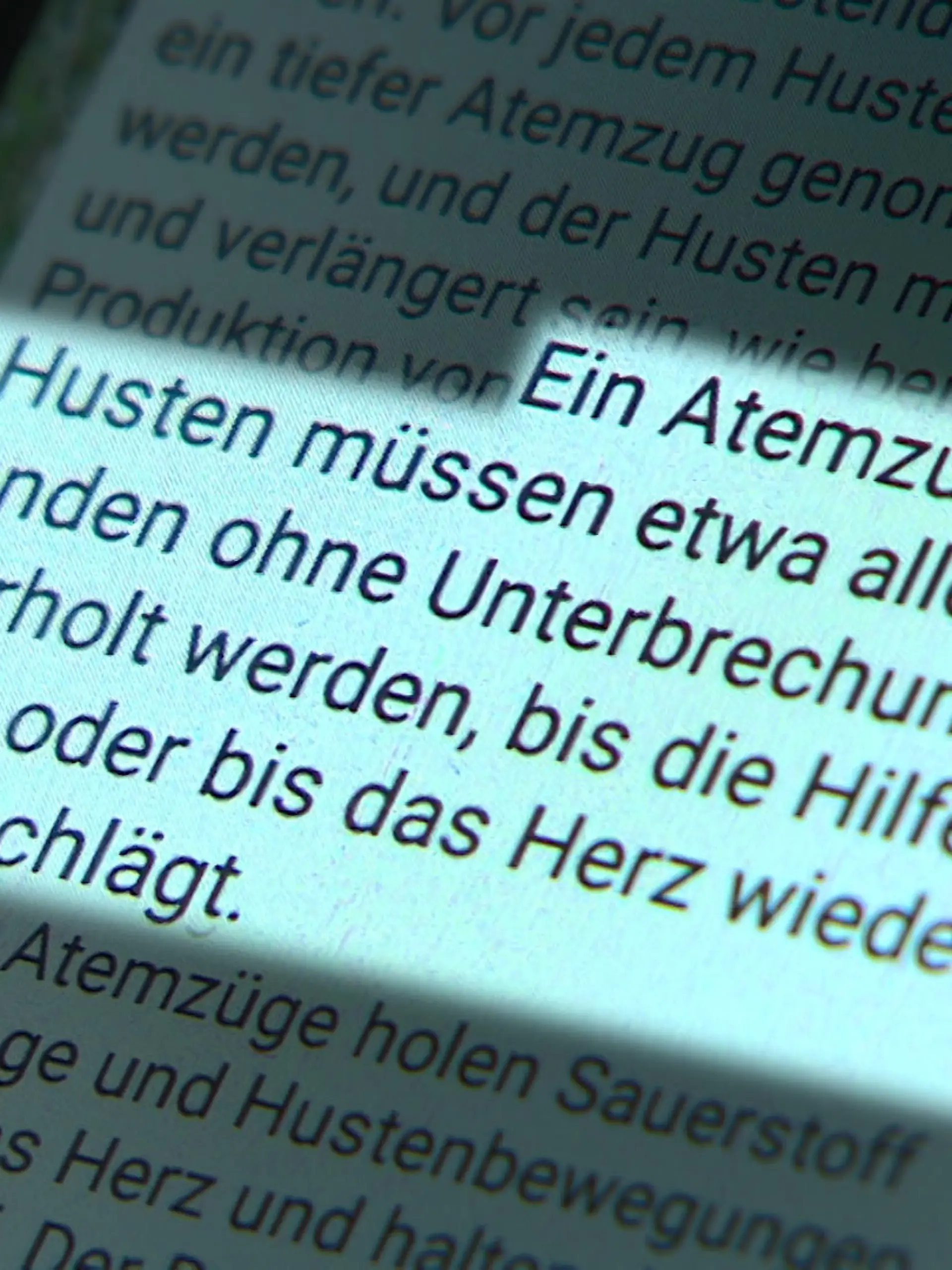Bild zu: "WhatsApp-Kettenbrief im Umlauf"
