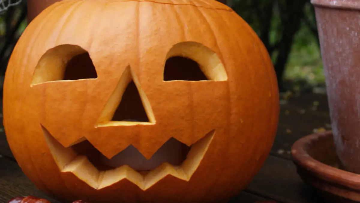 Kürbis schnitzen: So geht's! Ein Muss an Halloween