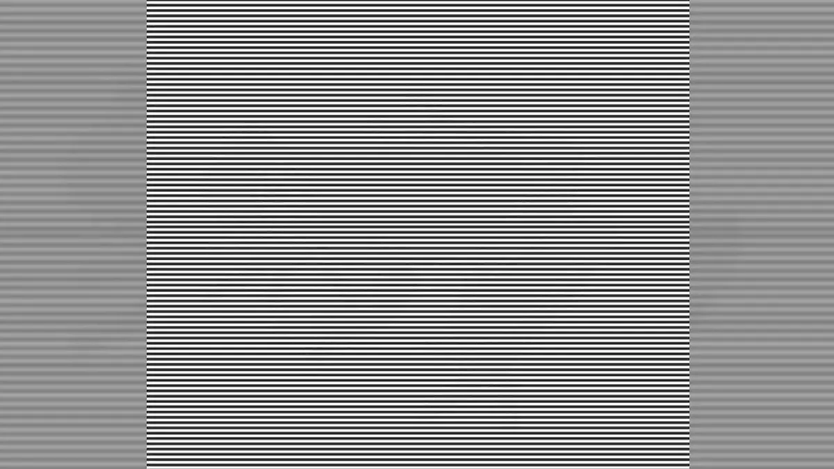 Suchbild mit schwarz-weißen Linien