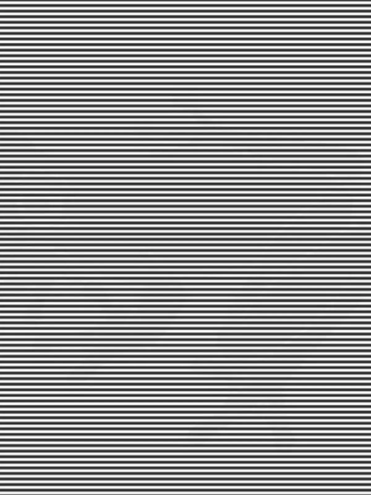 Suchbild mit schwarz-weißen Linien