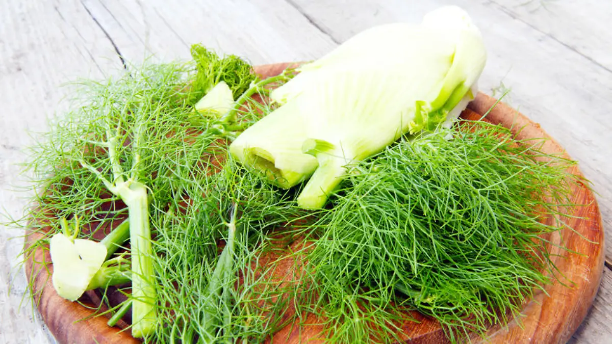 Die 5 besten Lebensmittel für den Magen Tut gut, schmeckt gut