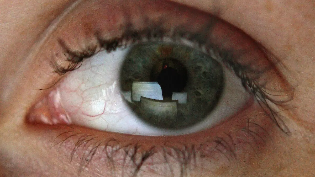 Computer-Monitore spiegeln sich im Auge einer Frau. Illustration vom 02.12.2006. Foto: Sebastian Widmann dpa/lno +++(c) dpa - Report+++