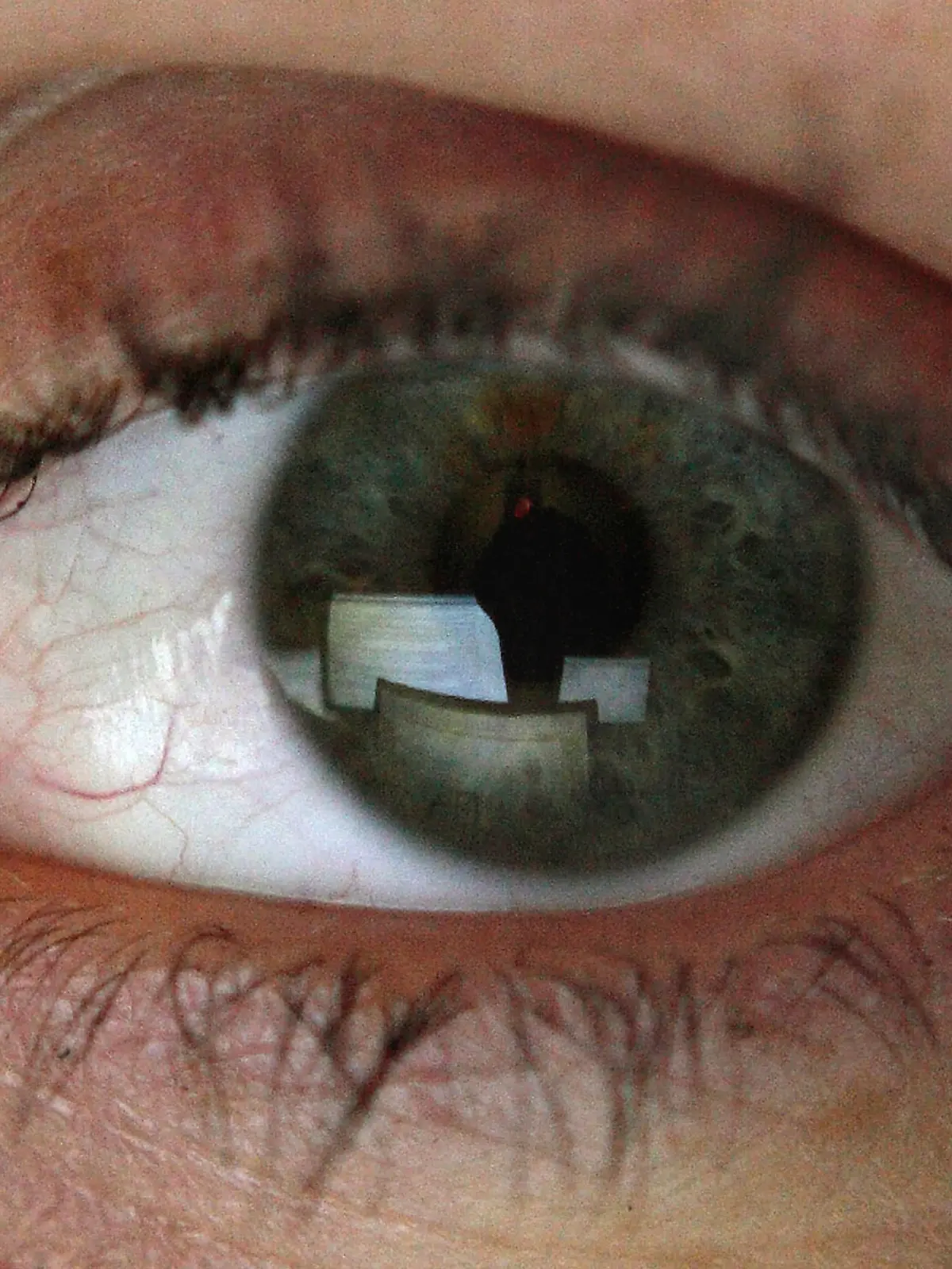 Computer-Monitore spiegeln sich im Auge einer Frau. Illustration vom 02.12.2006. Foto: Sebastian Widmann dpa/lno +++(c) dpa - Report+++