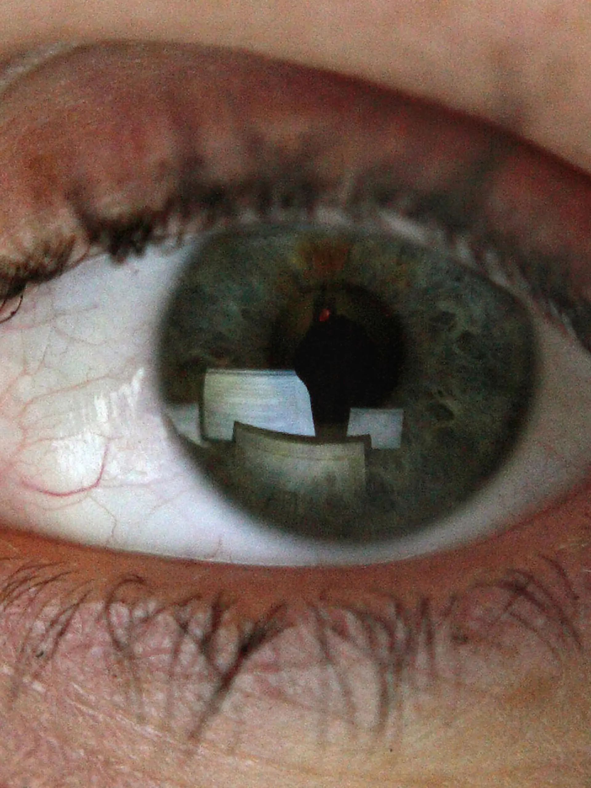 Computer-Monitore spiegeln sich im Auge einer Frau. Illustration vom 02.12.2006. Foto: Sebastian Widmann dpa/lno +++(c) dpa - Report+++