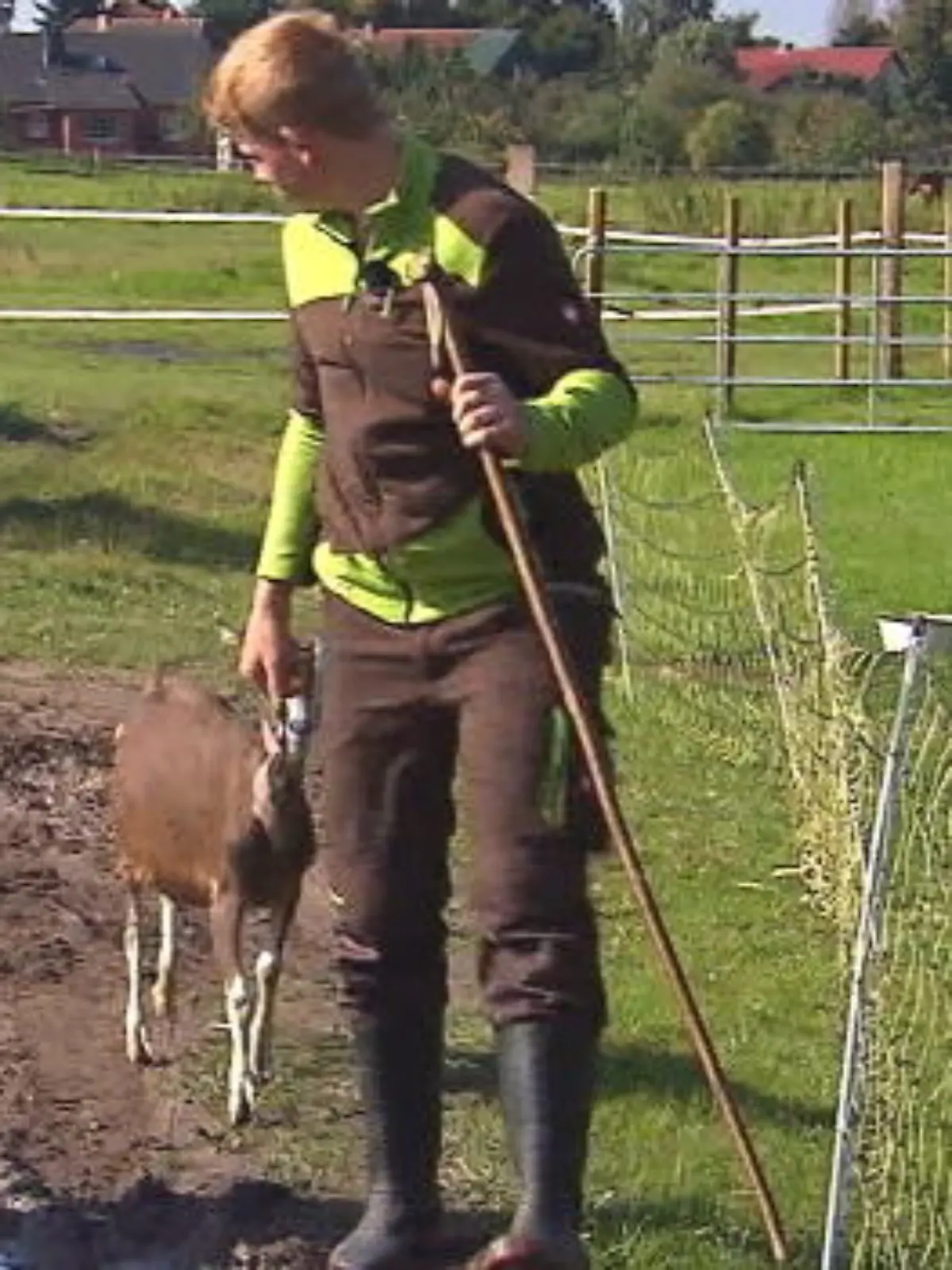 Bild zu: "Max (15) kümmert sich täglich um 100 Tiere"
