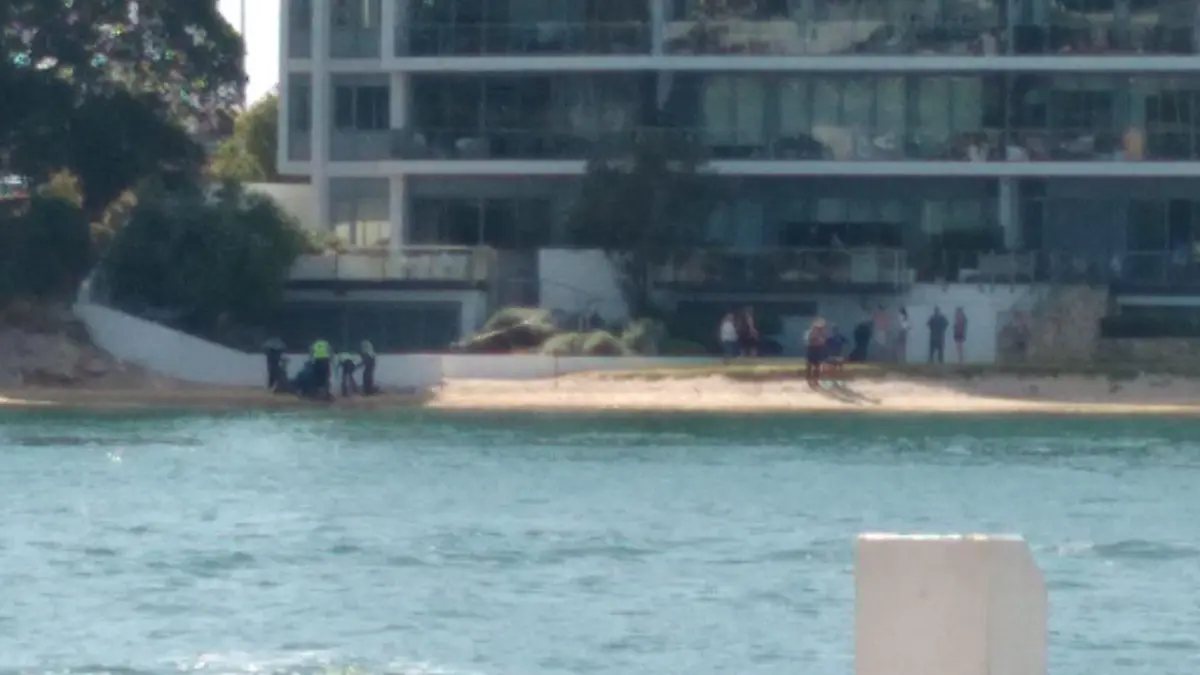 Australierin stirbt nach Hai-Biss