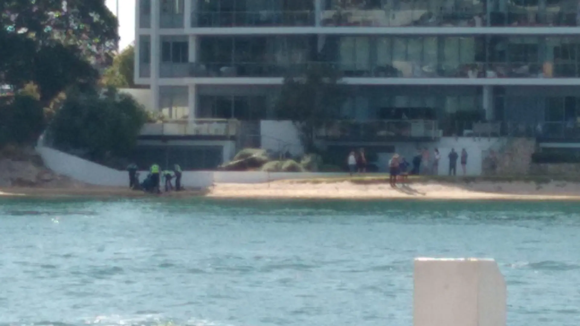 Australierin stirbt nach Hai-Biss