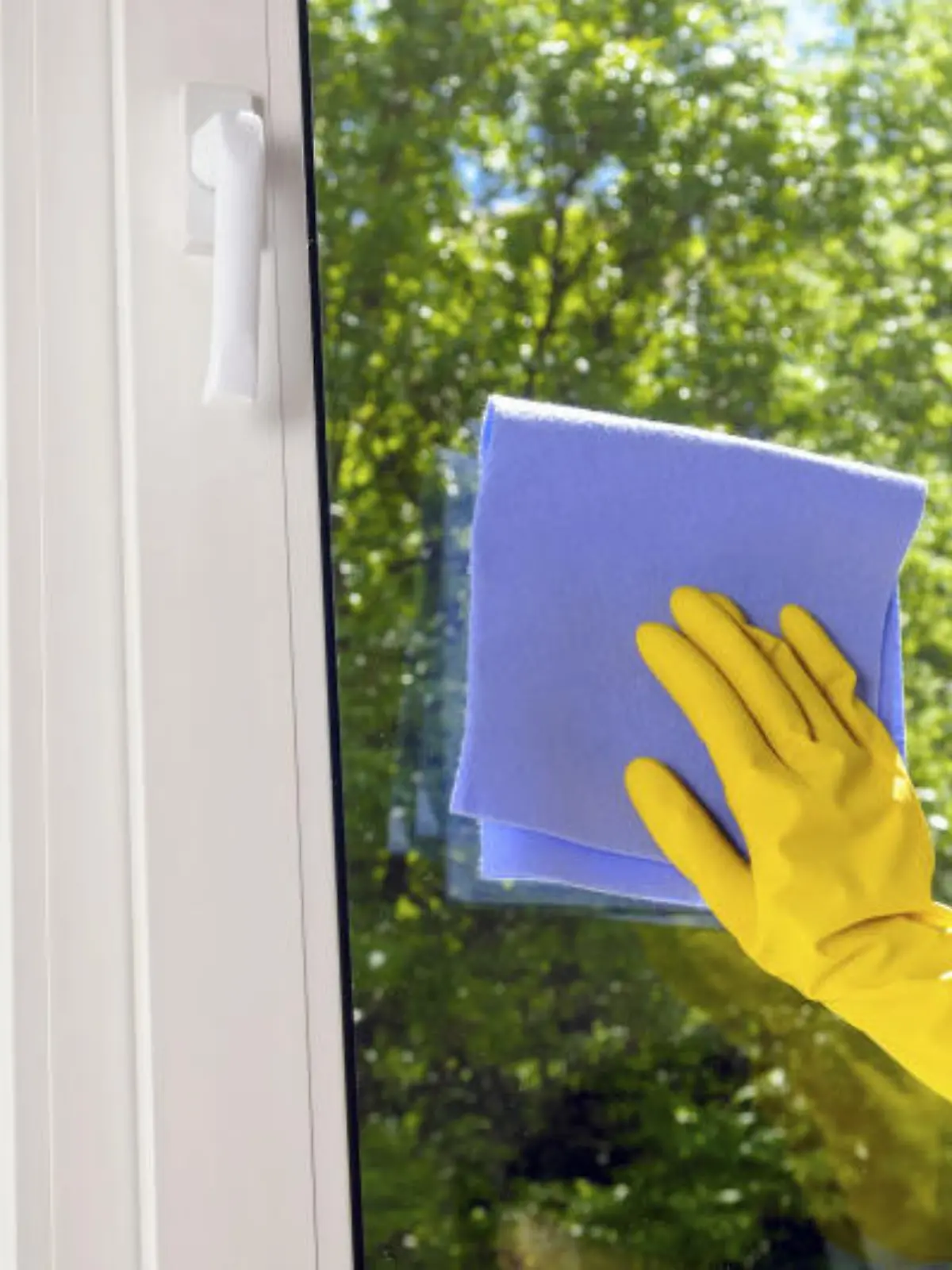 Bild zu: "Richitg Fenster putzen: SO geht's"