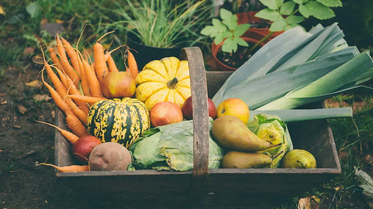 Die besten Cholesterinsenker So bleibst du gesund!
