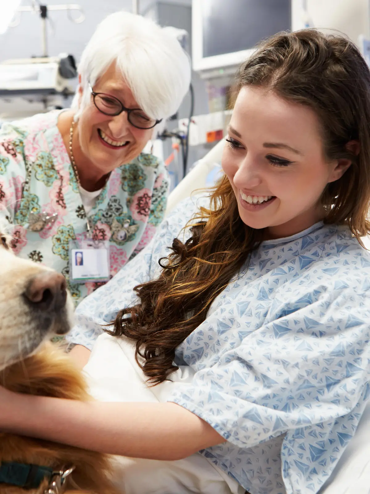Tiere helfen Menschen