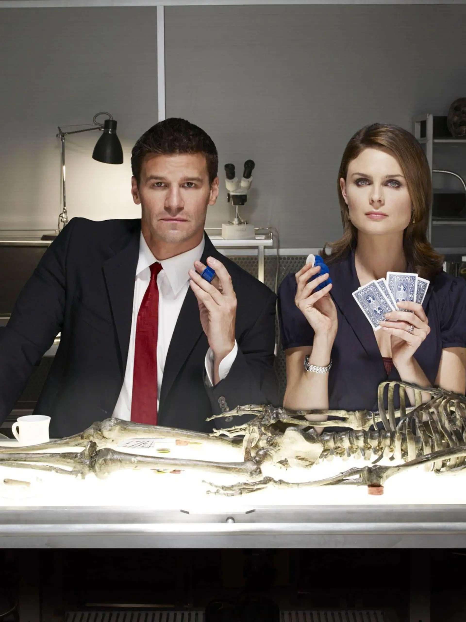 Die eigenwillige forensische Anthropologin Dr. Temperance Brennan (Emily Deschanel), genannt "Bones" und ihr smarter FBI-Kollege Seeley Booth (David Boreanaz) gehen wieder gemeinsam auf Spurensuche.