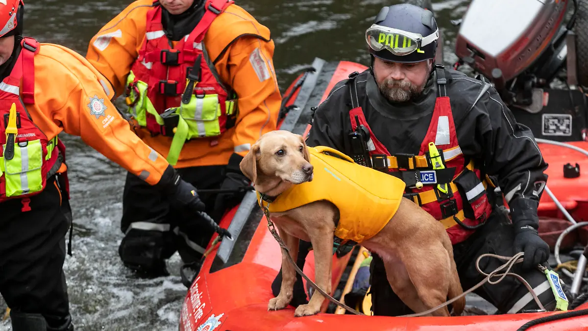 SONDERKONDITIONEN: Satzpreis!
A Search and Rescue dog sits along Lancashire Fire and Rescue Service. Lancashire Fire and Rescue and Lancashire Police officers search the River Wyre in search of missing woman Nicola Bulley. The area being searched is near a bench where a mobile phone was found, pictured in Lancs, Feb 1 2023. / action press