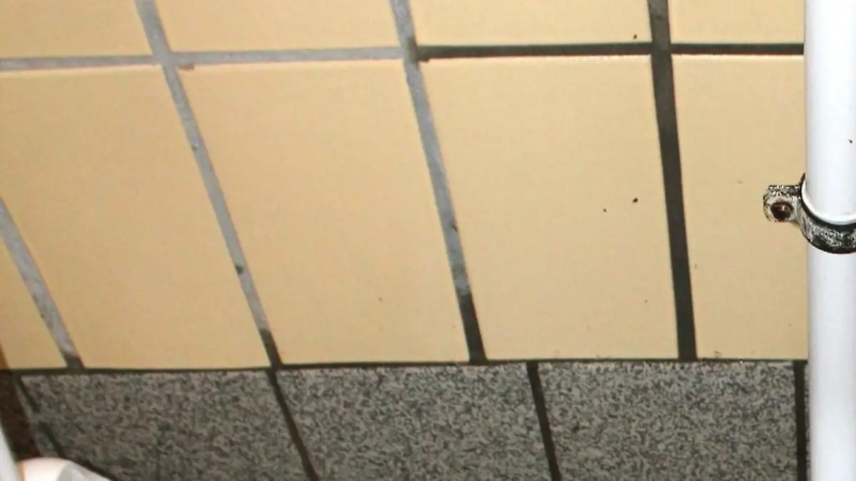 Toilette | Verwendung weltweit