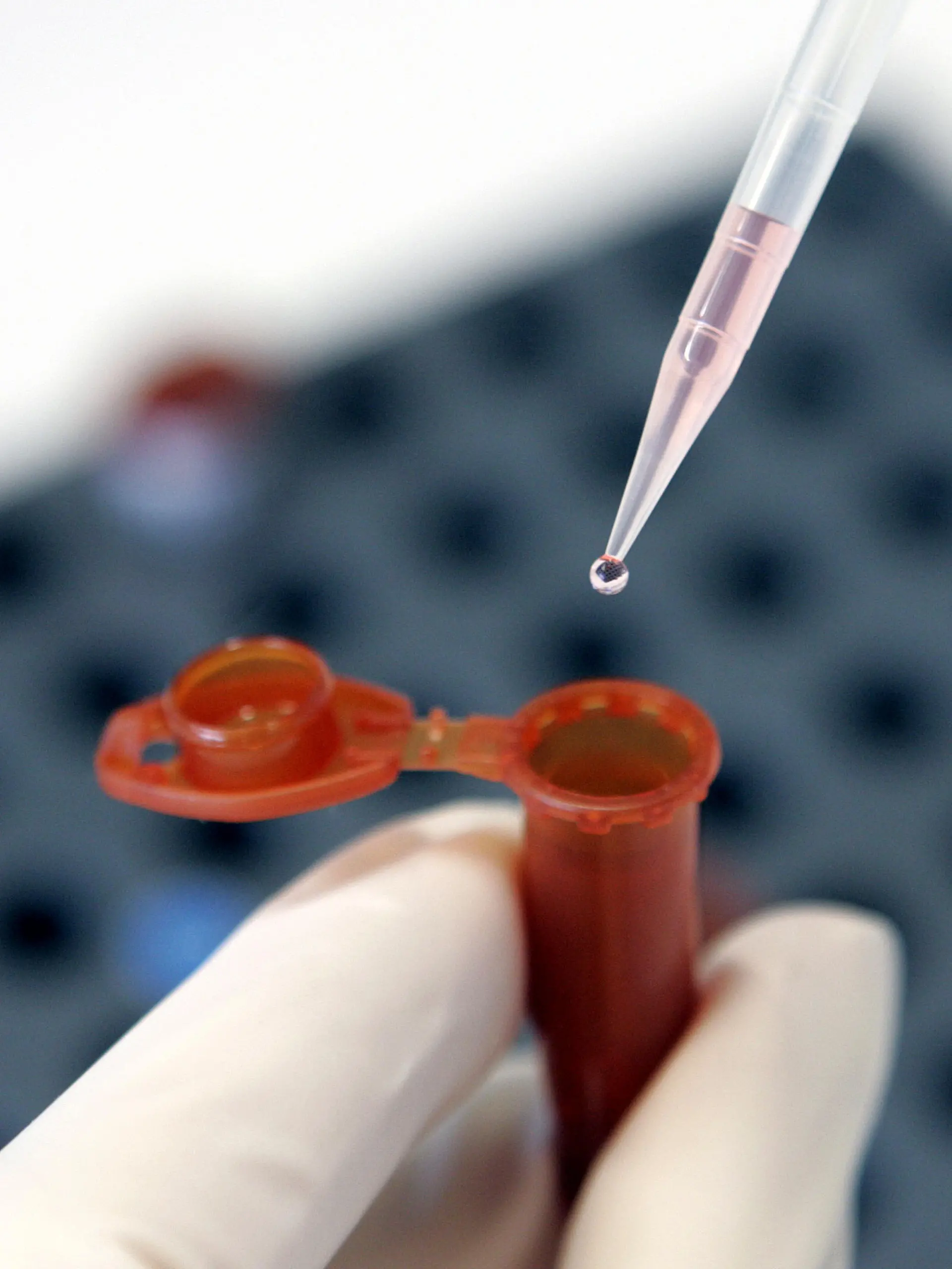Eine Mitarbeiterin eines Labors für DNA-Analysen arbeitet am Dienstag (18.01.2005) in Frankfurt/Main mit einer Pipette. Im Streit um eine Ausweitung der DNA-Analyse bahnt sich ein Konflikt zwischen Bundesinnenminister Schily (SPD) und den Grünen an. Schily sprach sich jetzt dafür aus, die Speicherung von Genmaterial zum Standard bei erkennungsdienstlichen Maßnahmen der Polizei zu machen. Foto: Frank May +++(c) dpa - Report+++
