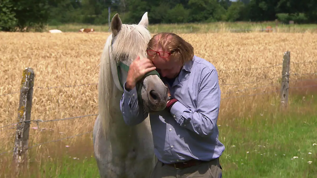 Veterinäramt nimmt Familie Therapie-Pony weg Nach 35 Jahren