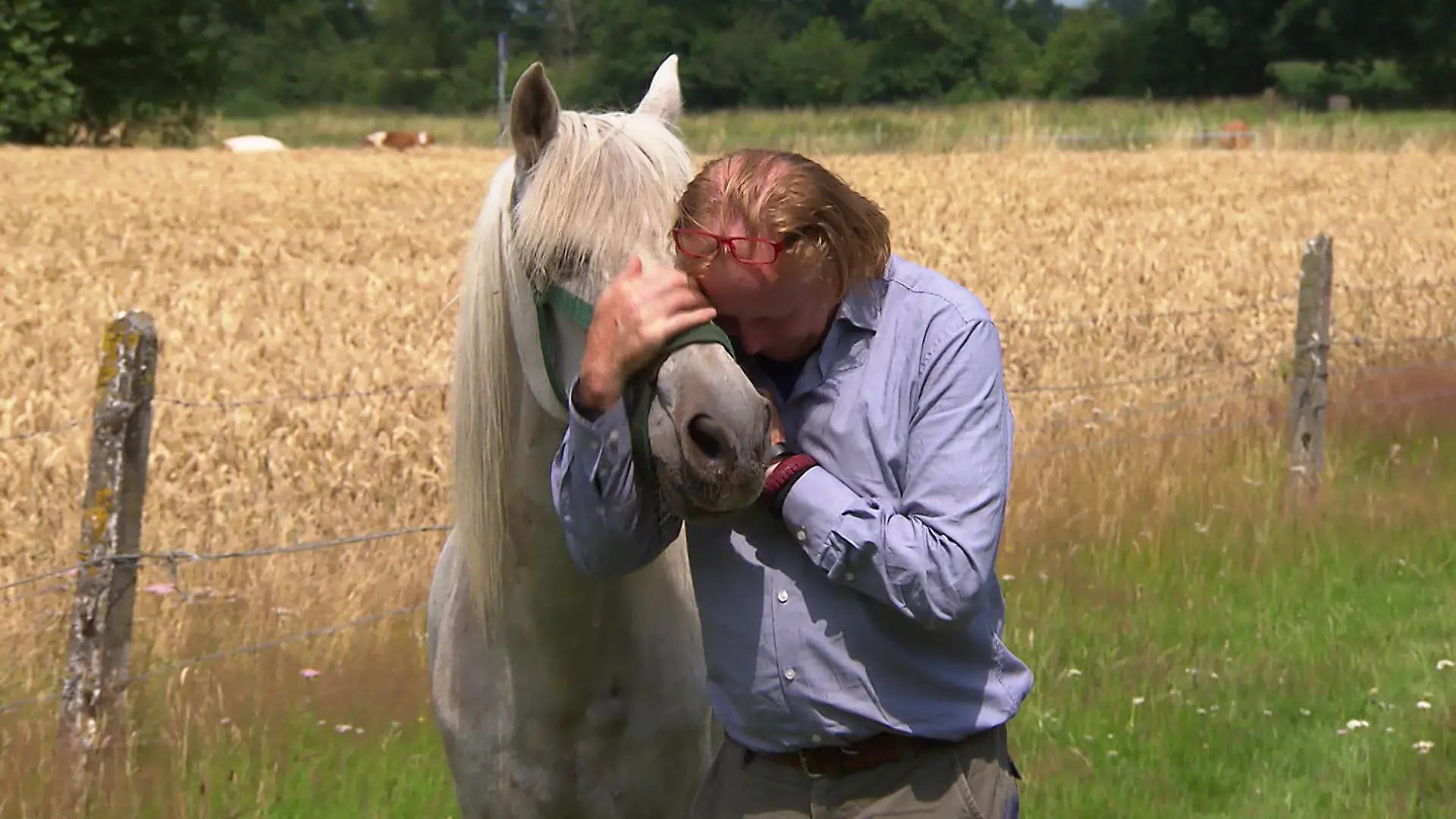 Veterinäramt nimmt Familie Therapie-Pony weg Nach 35 Jahren