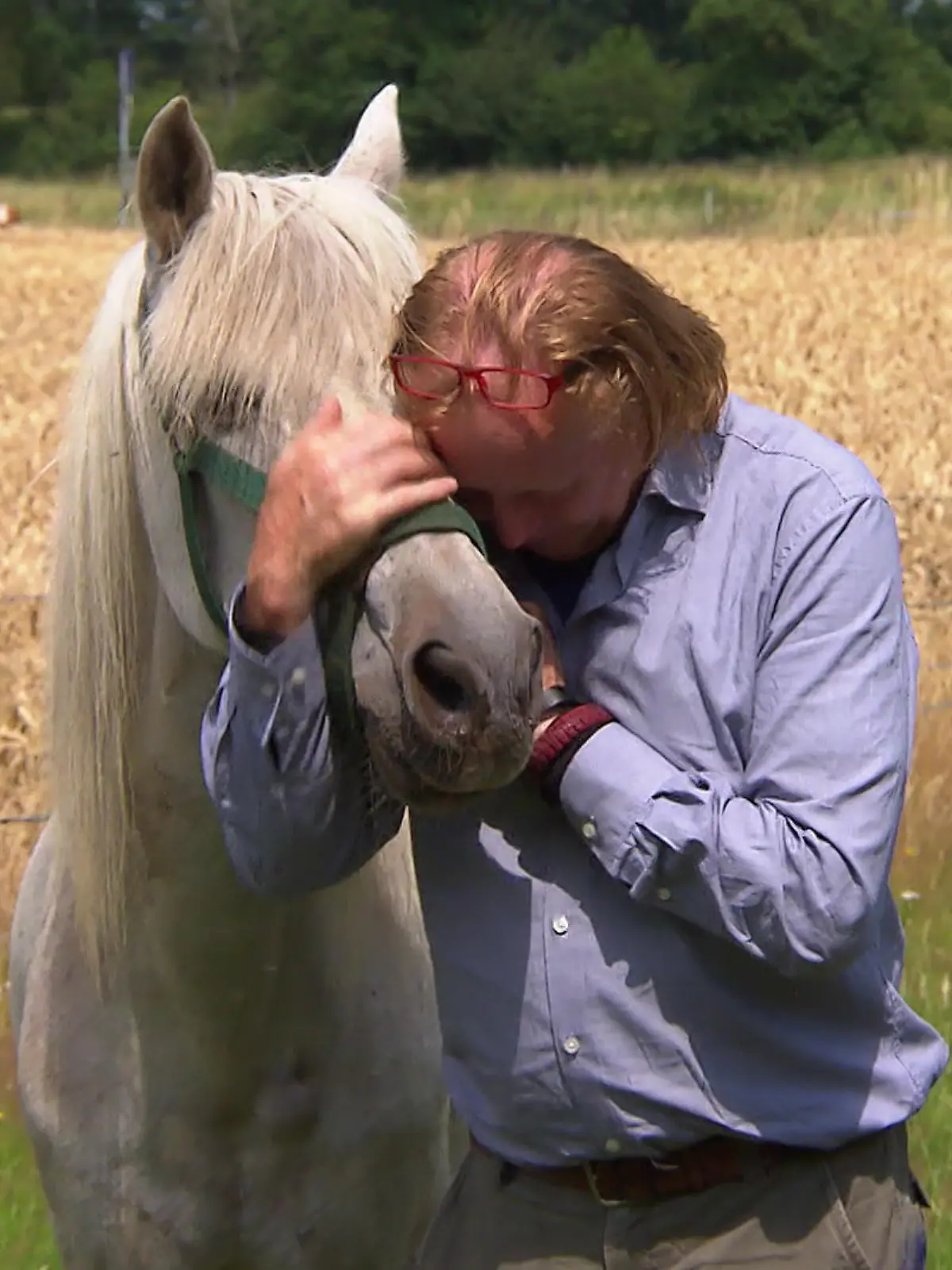 Bild zu: "Veterinäramt nimmt Familie Therapie-Pony weg"