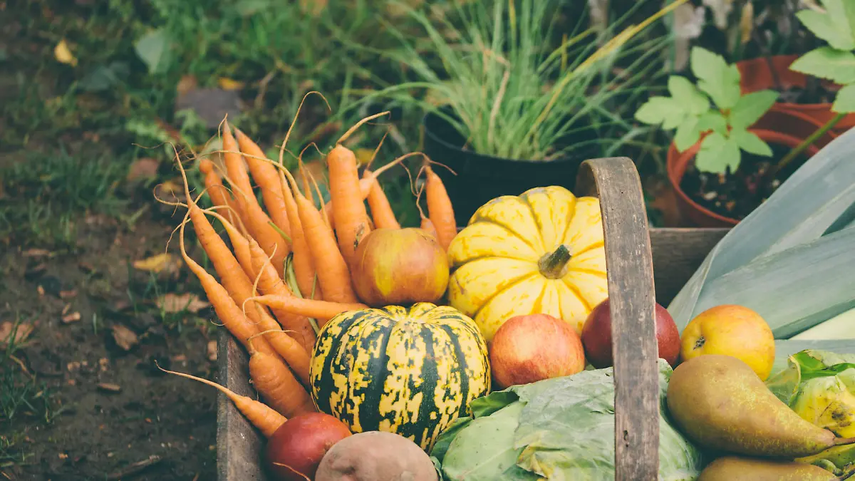 Wooden basket full of fresh, organic vegetables.
