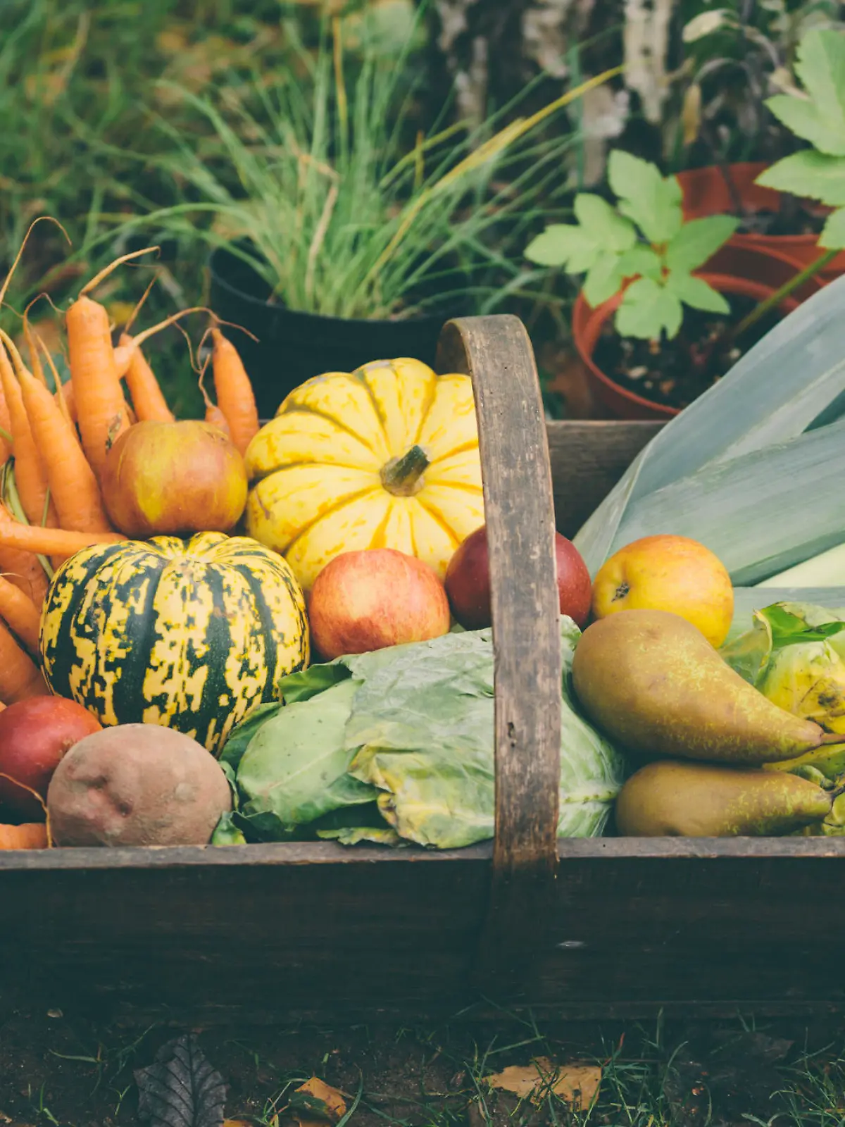 Wooden basket full of fresh, organic vegetables.