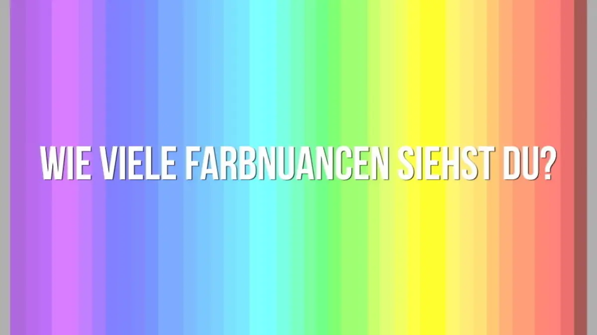 Wie viele Farben kannst du sehen? Hast du Adler-Augen?