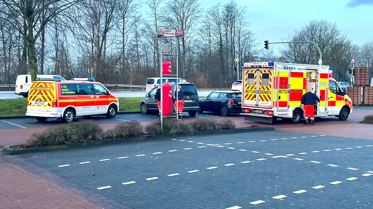 Der "Storchenparkplatz" vor dem Baumarkt in Eckernförde.