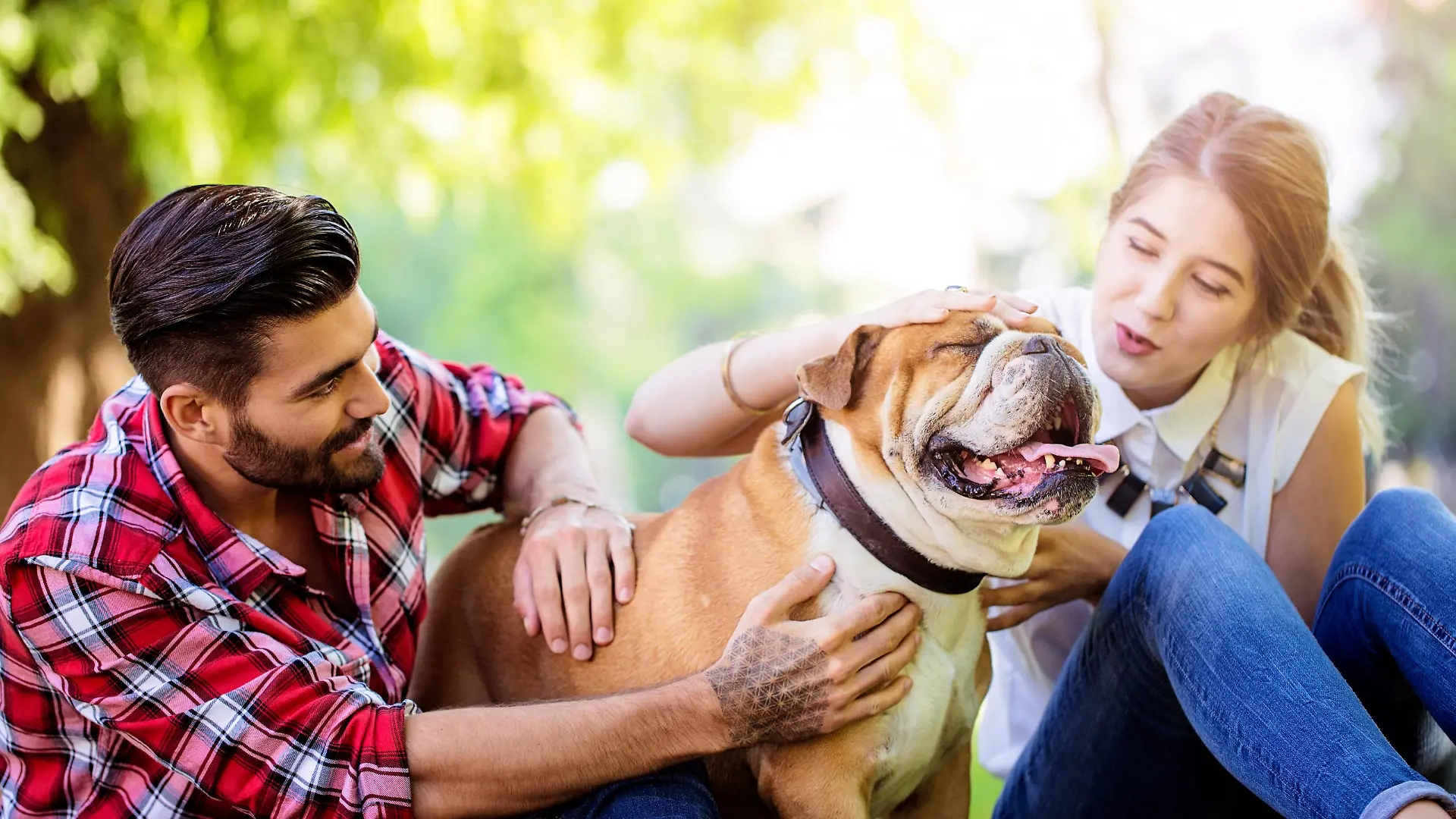 Seinen Hund mit einem Herrchen teilen: So geht 'Dogsharing' Ablauf, Verantwortung, Kosten