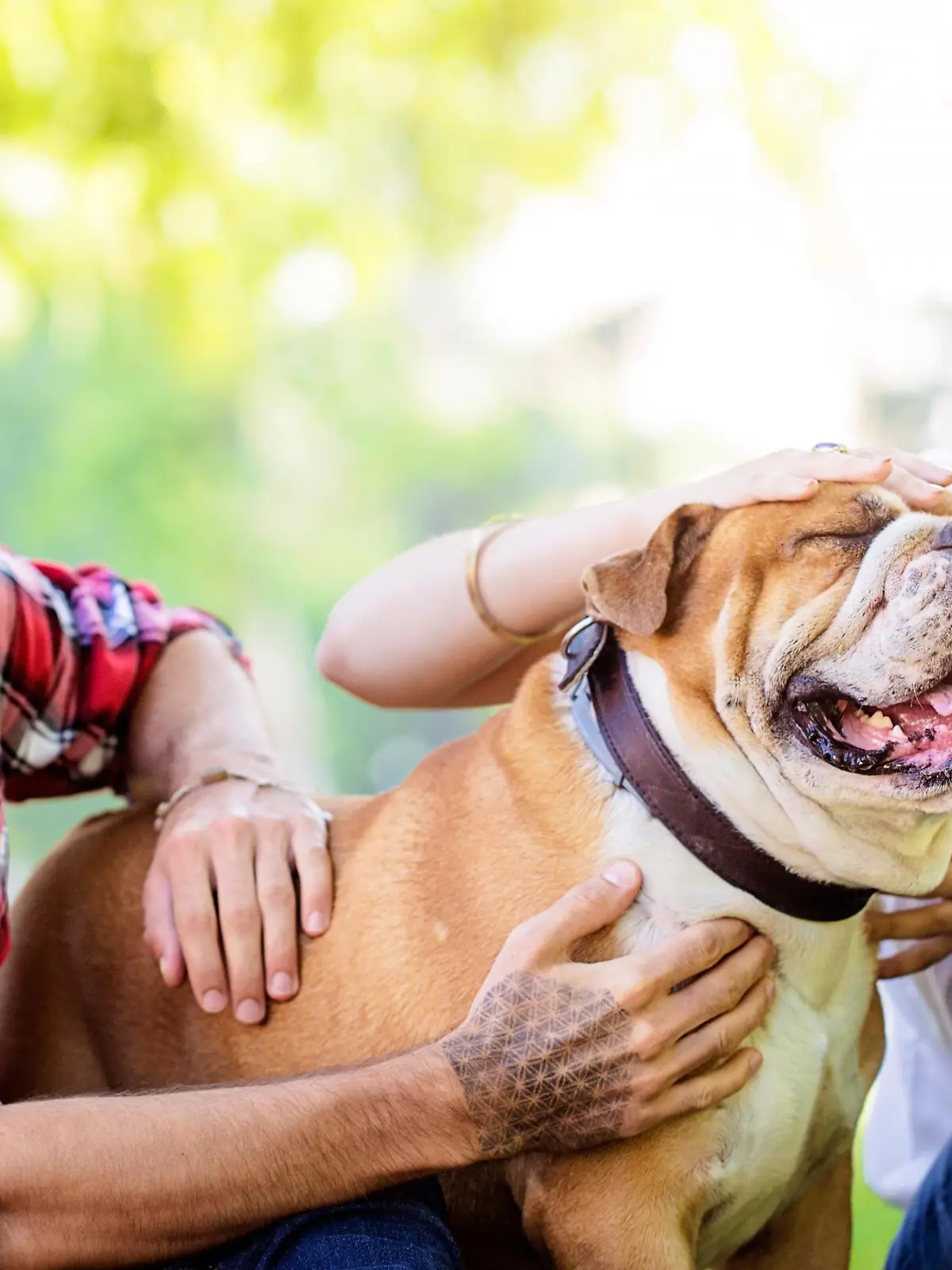 Bild zu: "Seinen Hund mit einem Herrchen teilen: So geht 'Dogsharing'"