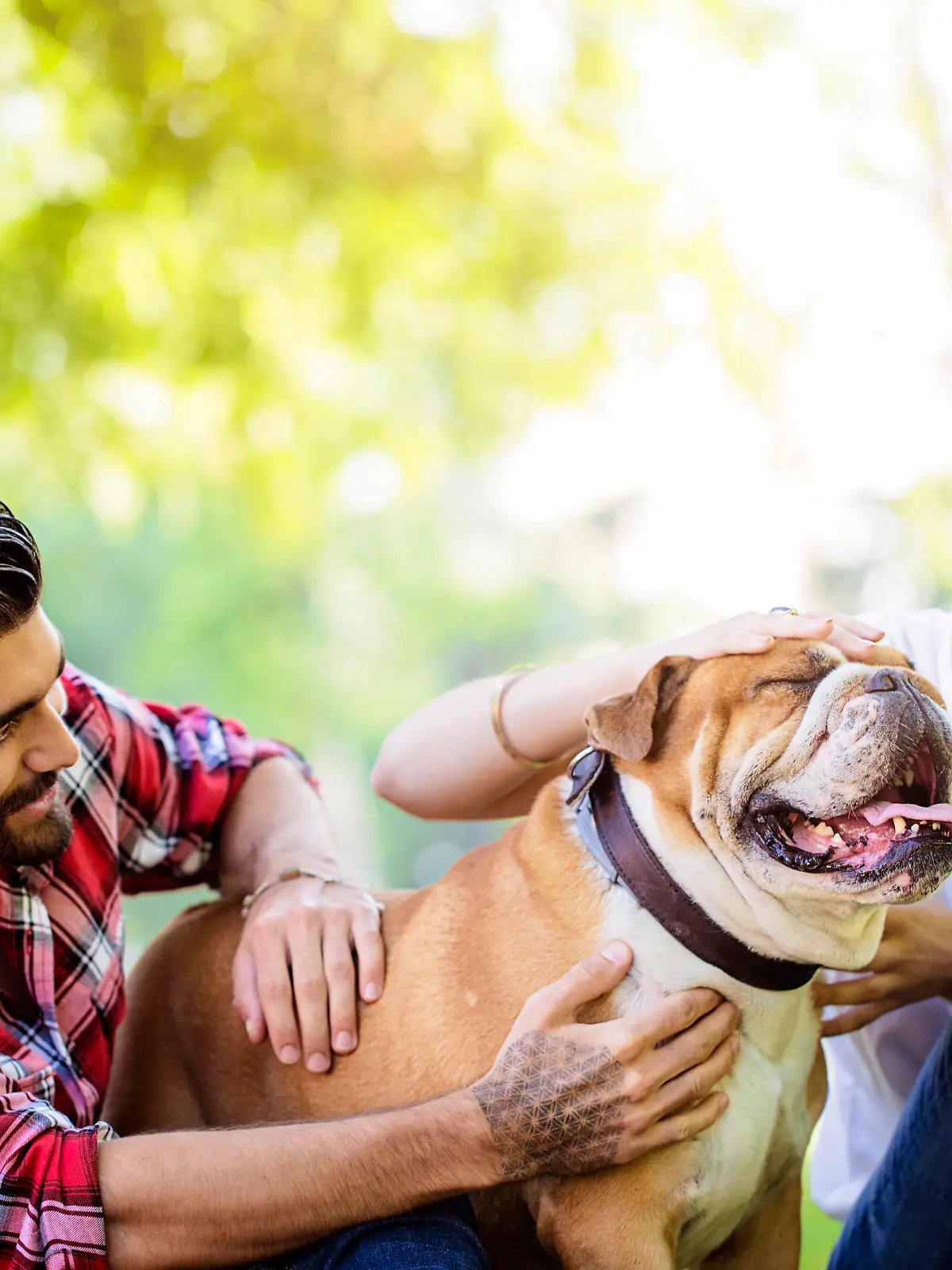 Zwei Menschen passen auf einen Hund auf