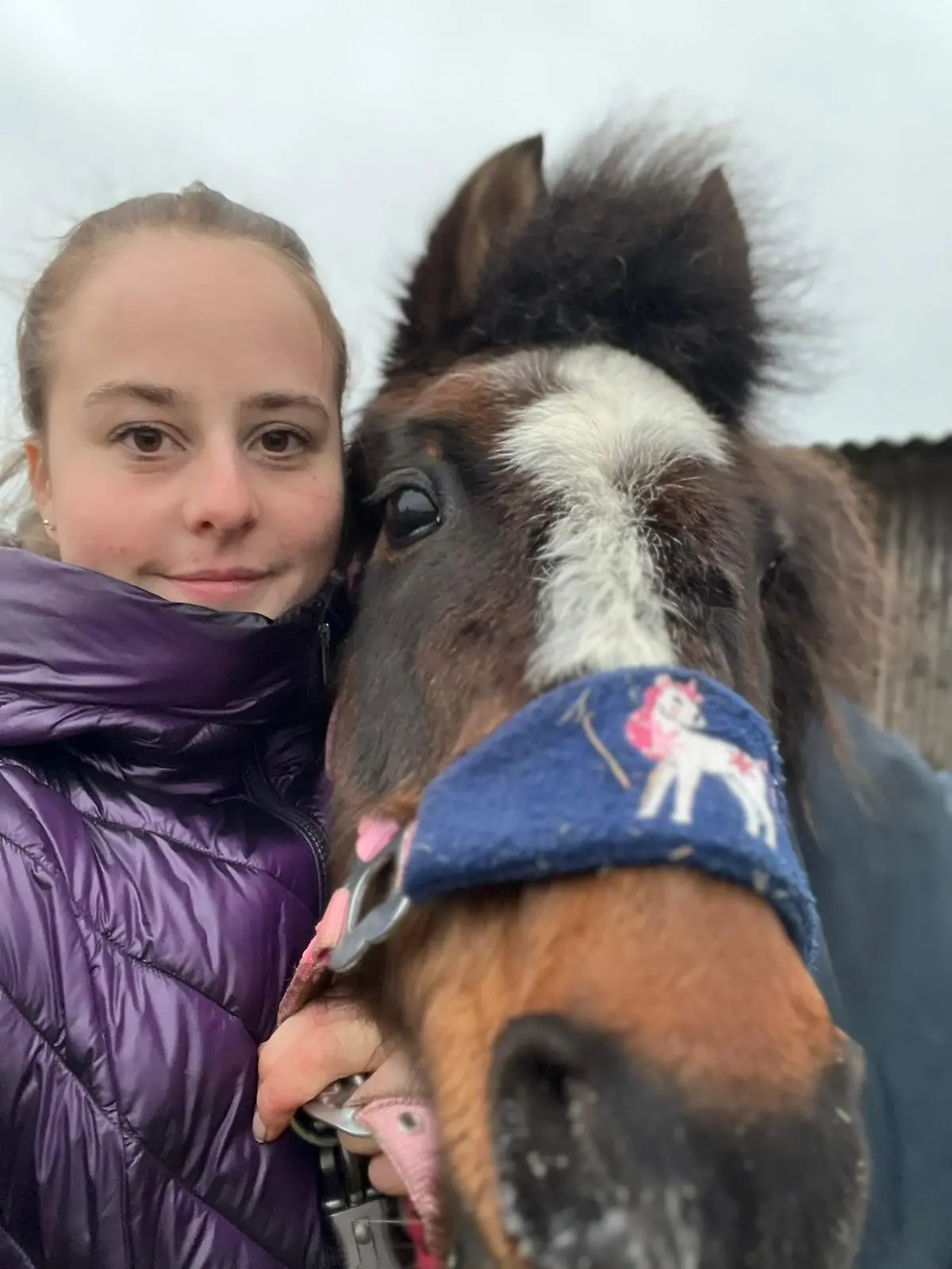 Sandy Haarke macht sich noch immer große Sorgen um ihr Pony Fee.