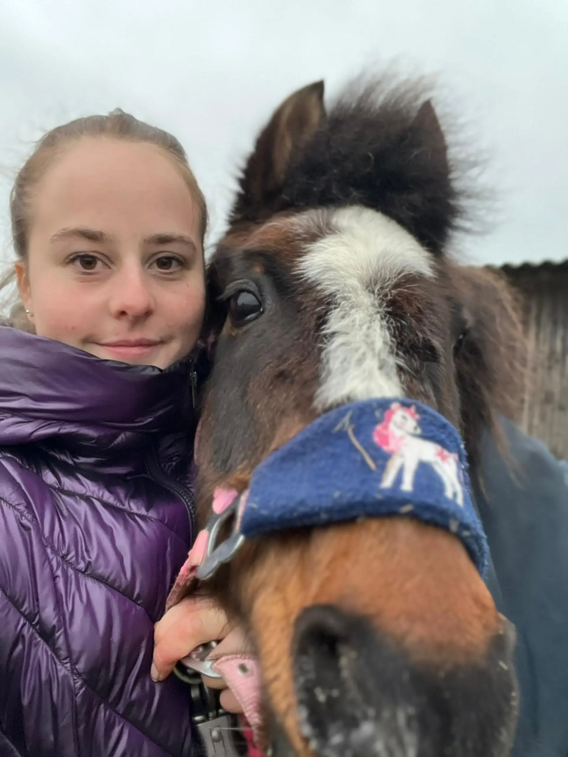 Sandy Haarke macht sich noch immer große Sorgen um ihr Pony Fee.