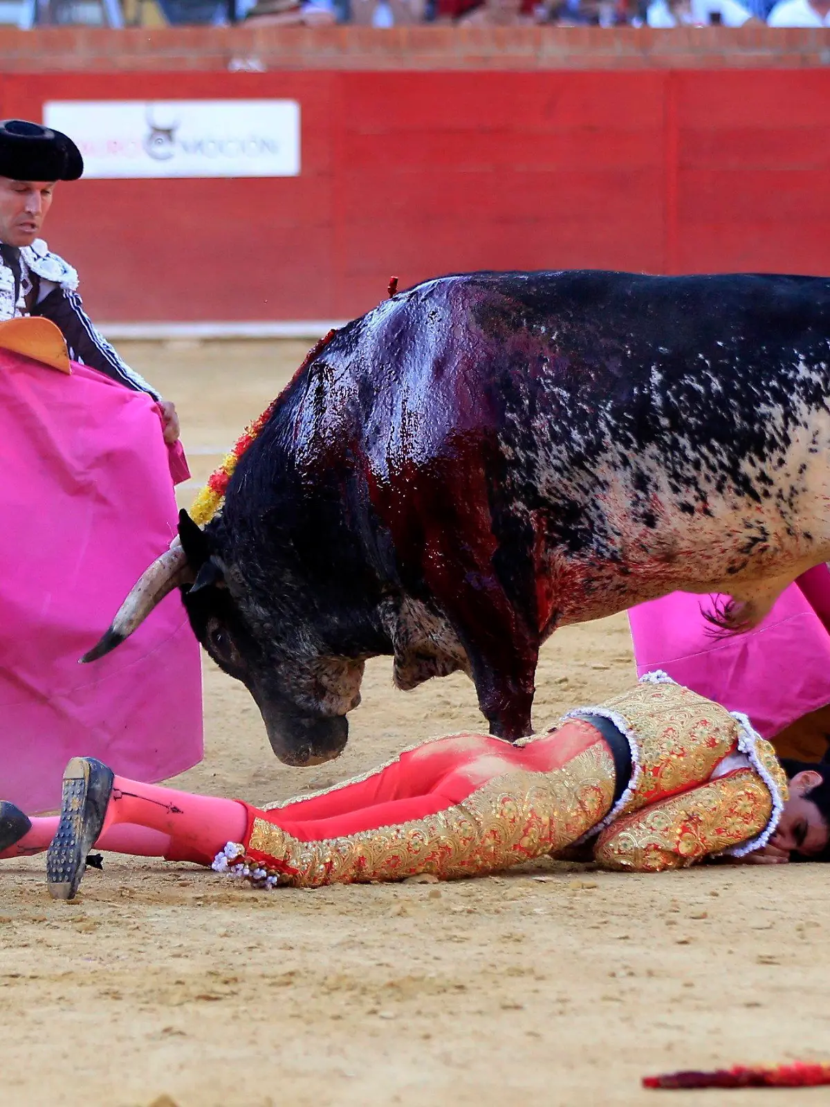 epaselect epa05417590 Spanish bullfighter Victor Barrio (bottom), 29, is gored during a bullfight held on the occasion of Feria del Angel in Teruel, Aragon (Spain), 09 July 2016. Barrio died due to the injures after being seriously gored by his third bull. EPA/ANTONIO GARCIA +++(c) dpa - Bildfunk+++