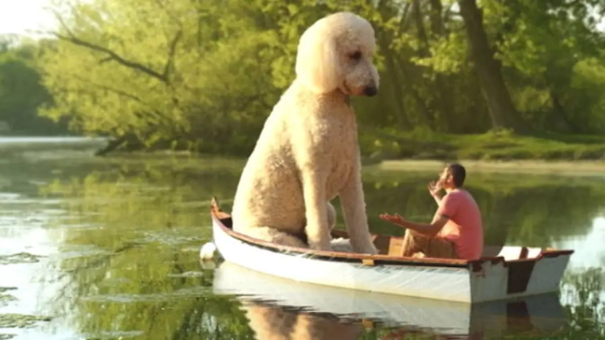 Dieser Hund wird dank Photoshop zum Riesen Ganz große Hundeliebe: Chris und Juji sind Freunde 