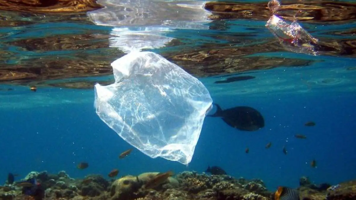 Riesige Mengen Plastik landen jedes Jahr in der Umwelt, wo sie nur sehr langsam abgebaut werden. Foto: Mike Nelson