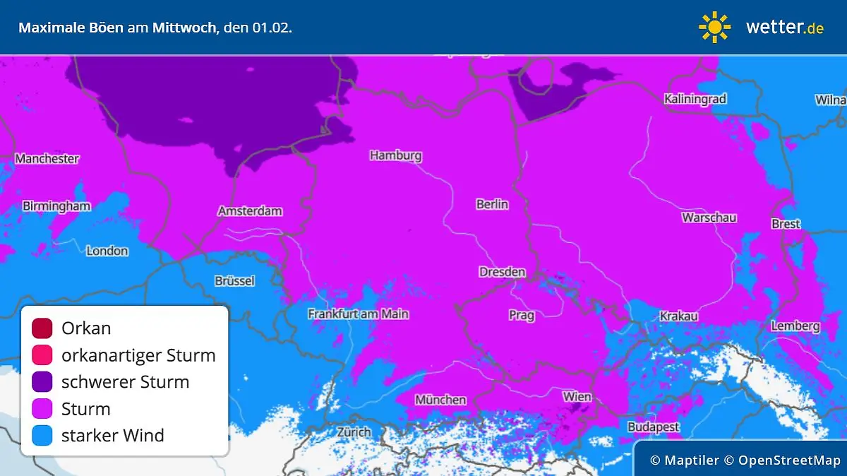 Die Grafik zeigt die maximalen Windböen für Mittwoch 01.02.2023