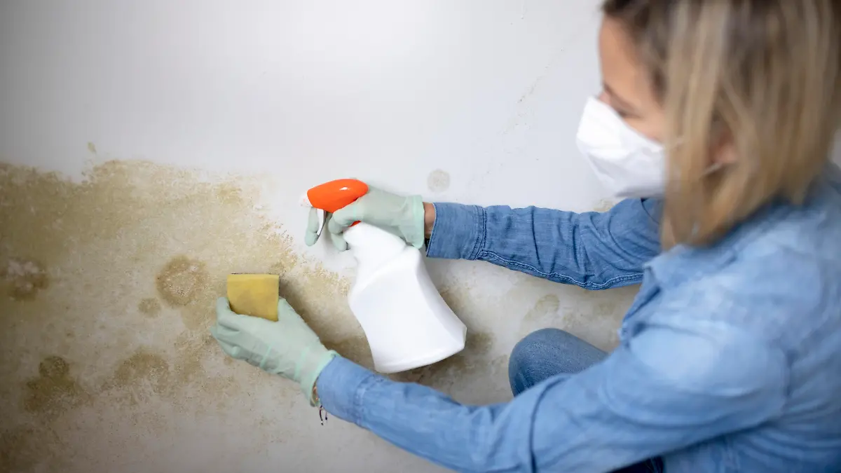 pretty blonde woman with mouth nose mask cleans mold from dirty apartment wall