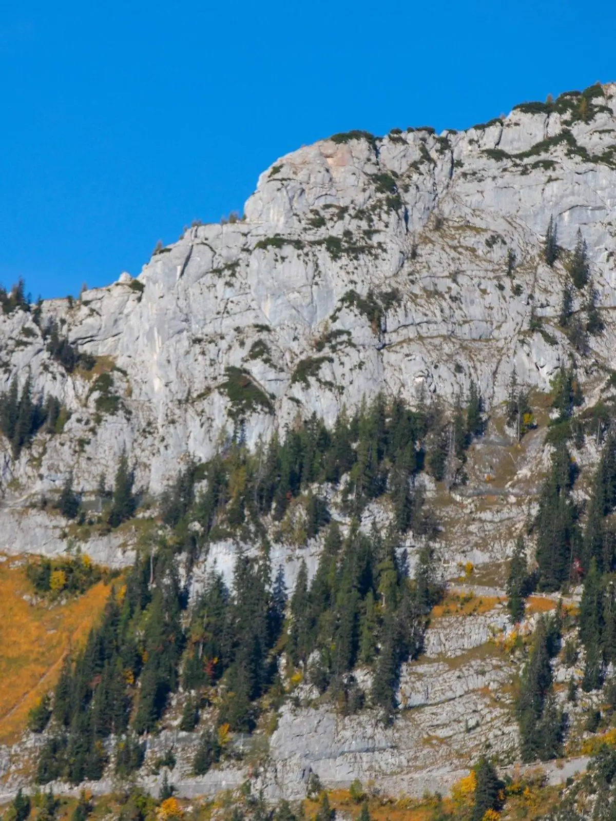PRODUKTION - 16.06.2023, Bayern, Berchtesgaden: Rechts oben ist das Kehlsteinhaus zu sehen. Die Fahrtstrecke für den Bus verläuft am steilen Berg entlang. Die letzten Meter zum Haus absolvieren Besucher zu Fuß oder mit dem Aufzug.  Die höchstgelegene Busstrecke Deutschlands soll elektrifiziert werden - eine Bewährungsprobe der besonderen Art für die Bustechnik. Über enge Kurven sind am Kehlstein mehr als 700 Höhenmeter zu bewältigen. (Zu dpa «Kehlstein setzt auf Elektrobusse - höchstgelegene Buslinie») Foto: Kilian Pfeiffer/dpa +++ dpa-Bildfunk +++