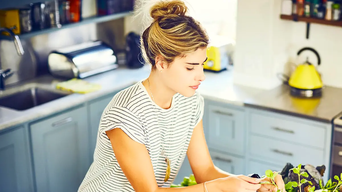 High angle view of young woman plucking mint leaves. Female is wearing casuals in kitchen. She is preparing food from recipe on tablet at kitchen island.