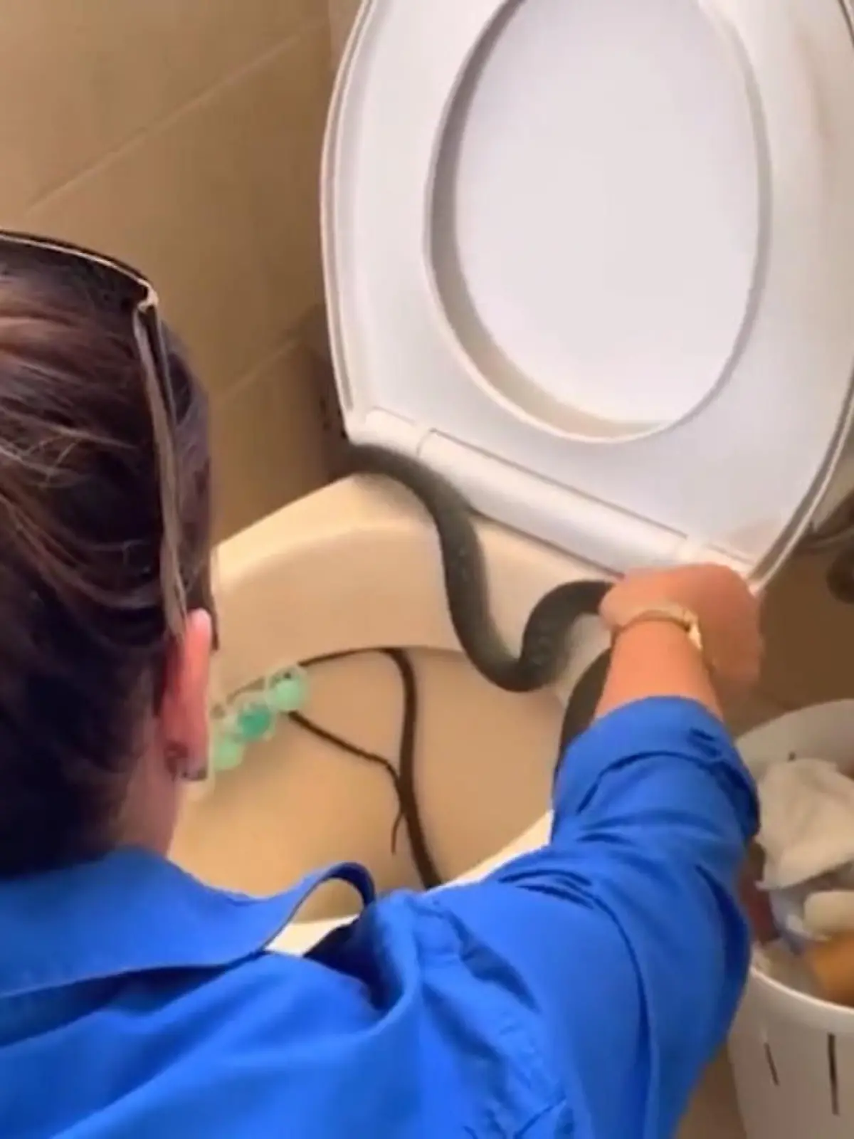 Eine lange Schlange VOR einer Toilette ist hierzulande nichts ungewöhnliches – eine lange Schlange IN der Toilette hingegen schon. Als eine Frau ihre Toilette benutzen wollte, hörte sie ein leises Zischen und machte vorsichtig die Klobrille auf – und entdeckte den ungewünschten Gast. Wo das Ganze passiert ist? Natürlich in Australien. Das Land der vielen Spinnen und Schlangen macht seinem Namen mal wieder alle Ehre...