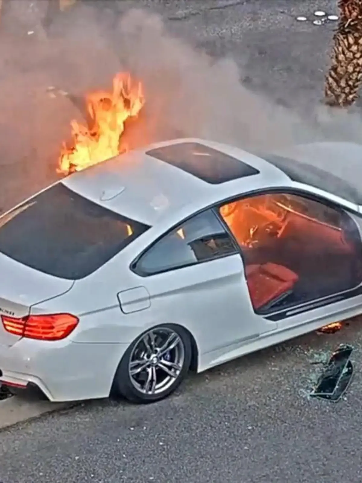 Die Flammen züngeln bereits an der Karosserie nach oben - als ein beherzter Polizist und ein aufmerksamer Augenzeuge einen Mann aus einem Autowrack ziehen. Minuten zuvor krachte dieser mit seinem Fahrzeug am Las Vegas Strip gegen eine Palme. Der Mann soll laut amerikanischen Medien betrunken gewesen sein. Im Video zeigen wir die dramatische Rettung.