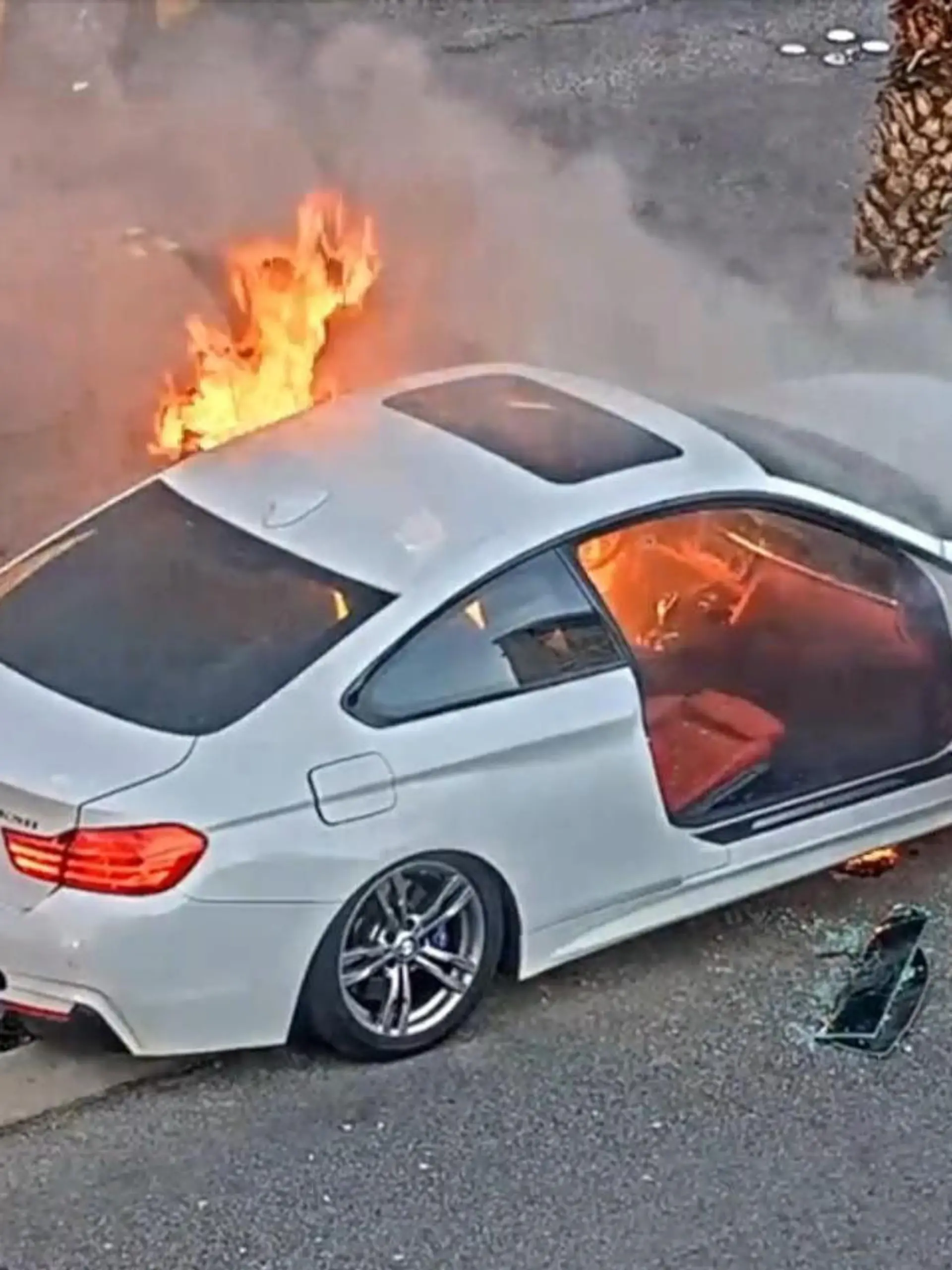 Die Flammen züngeln bereits an der Karosserie nach oben - als ein beherzter Polizist und ein aufmerksamer Augenzeuge einen Mann aus einem Autowrack ziehen. Minuten zuvor krachte dieser mit seinem Fahrzeug am Las Vegas Strip gegen eine Palme. Der Mann soll laut amerikanischen Medien betrunken gewesen sein. Im Video zeigen wir die dramatische Rettung.