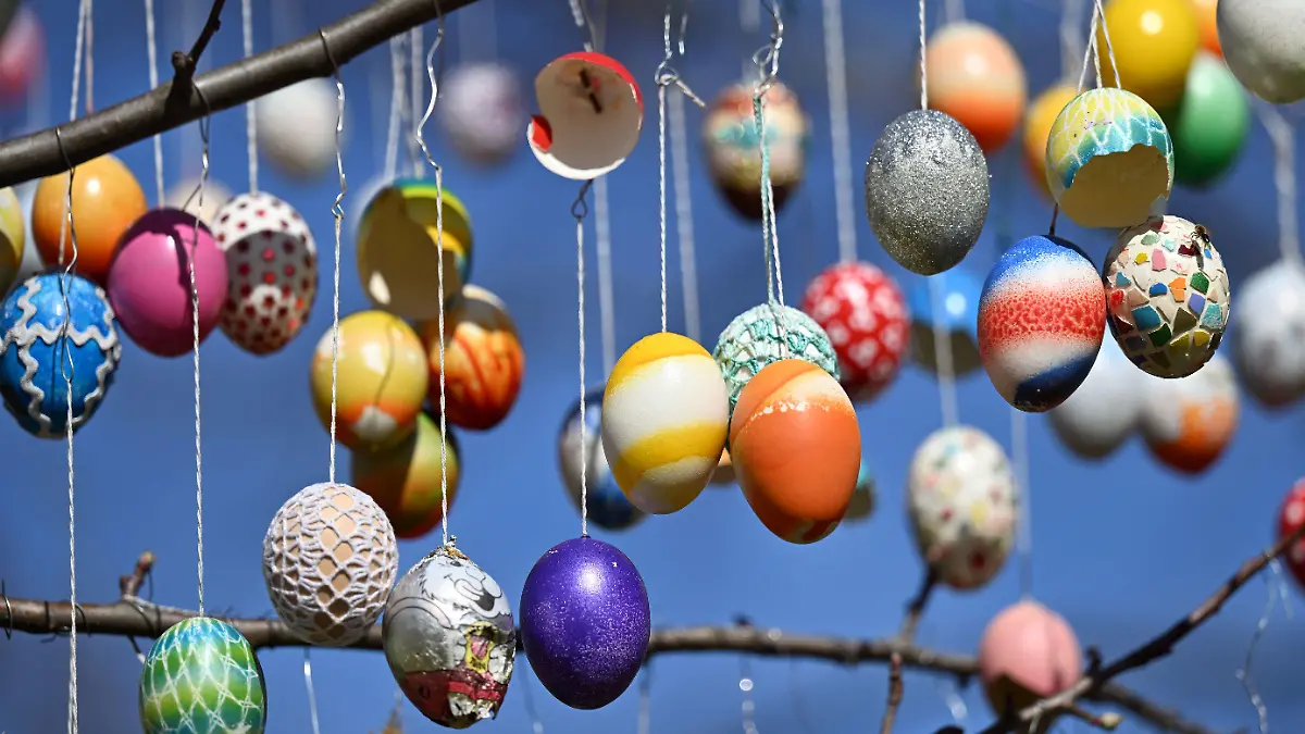 12.04.2022, Thüringen, Saalfeld: Dutzende bunte Eier hängen am Ostereierbaum im Saalfelder Schlosspark. Drei Tage hat das zwölfköpfige Team des Freundeskreises Saalfelder Ostereierbaum in diesem Jahr den Apfelbaum im Schlosspark geschmückt. Der Baum war extra zum Erhalt der Tradition im Garten des Schlosses gepflanzt worden. Foto: Martin Schutt/dpa +++ dpa-Bildfunk +++
