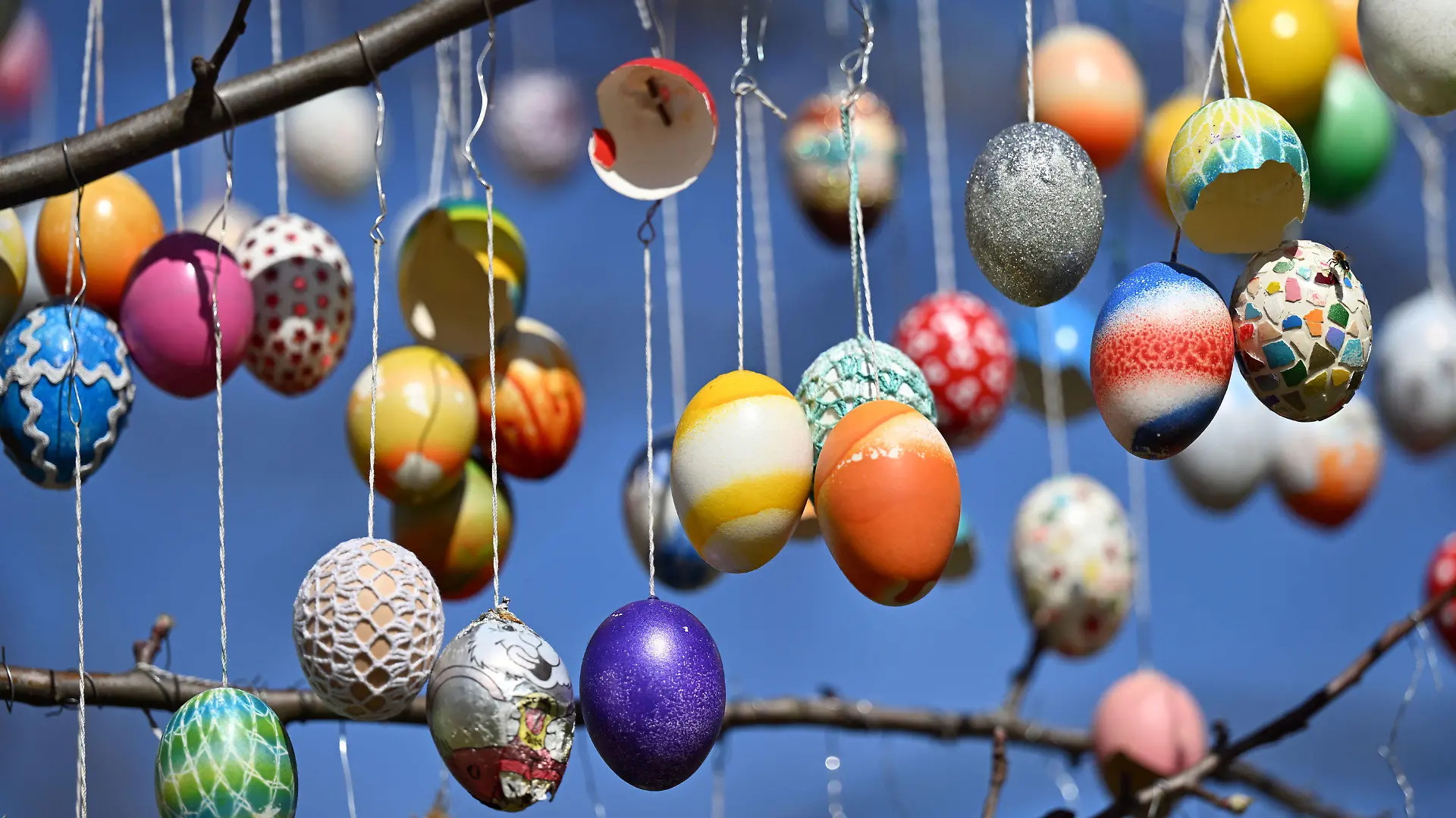 12.04.2022, Thüringen, Saalfeld: Dutzende bunte Eier hängen am Ostereierbaum im Saalfelder Schlosspark. Drei Tage hat das zwölfköpfige Team des Freundeskreises Saalfelder Ostereierbaum in diesem Jahr den Apfelbaum im Schlosspark geschmückt. Der Baum war extra zum Erhalt der Tradition im Garten des Schlosses gepflanzt worden. Foto: Martin Schutt/dpa +++ dpa-Bildfunk +++