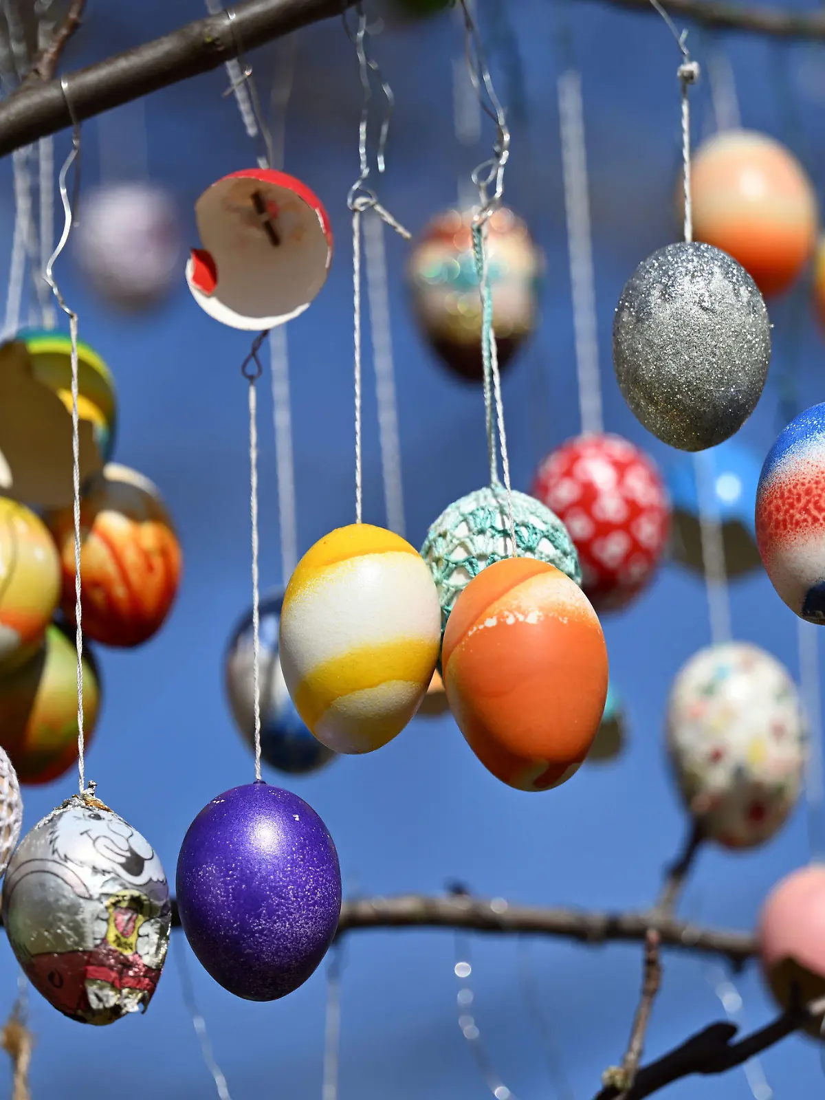 12.04.2022, Thüringen, Saalfeld: Dutzende bunte Eier hängen am Ostereierbaum im Saalfelder Schlosspark. Drei Tage hat das zwölfköpfige Team des Freundeskreises Saalfelder Ostereierbaum in diesem Jahr den Apfelbaum im Schlosspark geschmückt. Der Baum war extra zum Erhalt der Tradition im Garten des Schlosses gepflanzt worden. Foto: Martin Schutt/dpa +++ dpa-Bildfunk +++