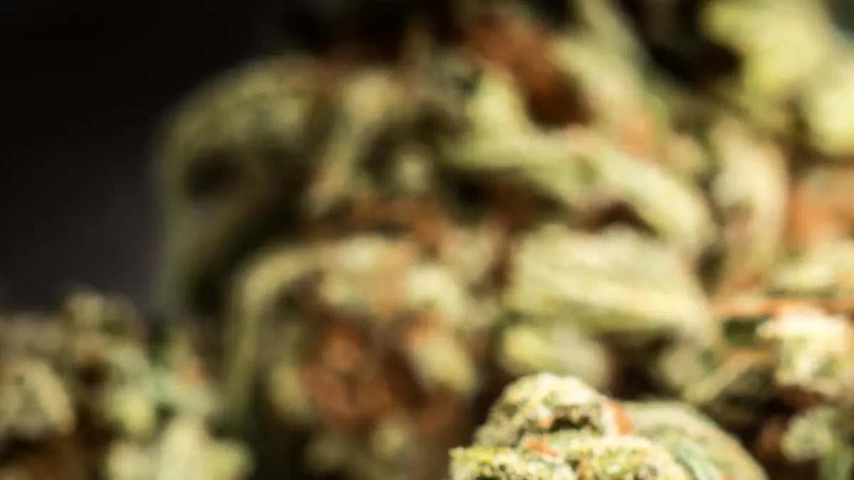 Cannabis gibt es künftig auf Rezept