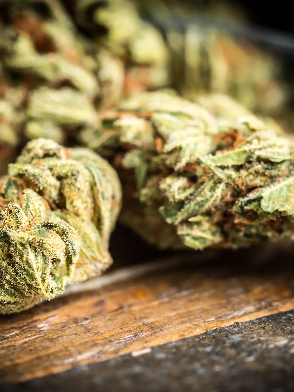 Cannabis gibt es künftig auf Rezept