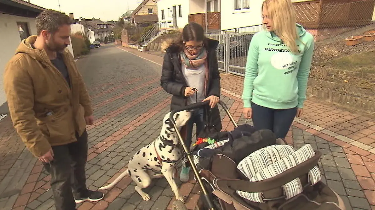 Hund und Baby - eine gefährliche Kombination? Zuletzt gab es mehrere Unglücksfälle